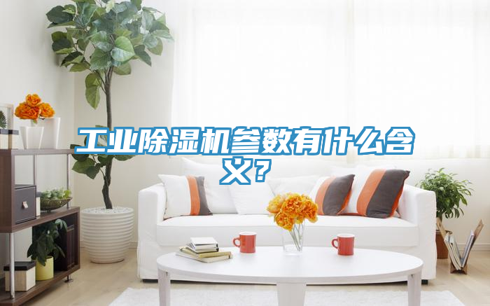 工業(yè)除濕機(jī)參數(shù)有什么含義？