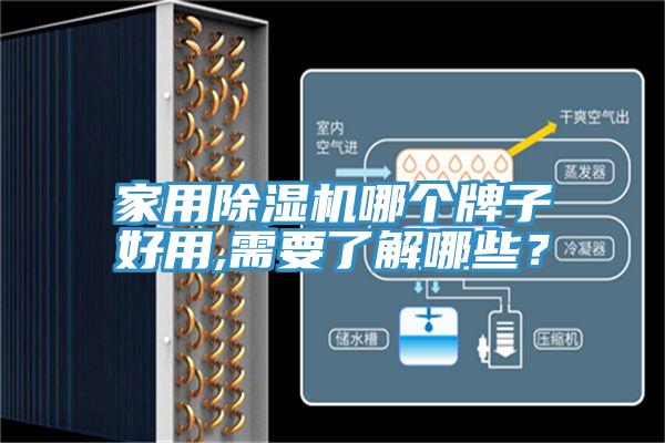 家用除濕機哪個牌子好用,需要了解哪些？