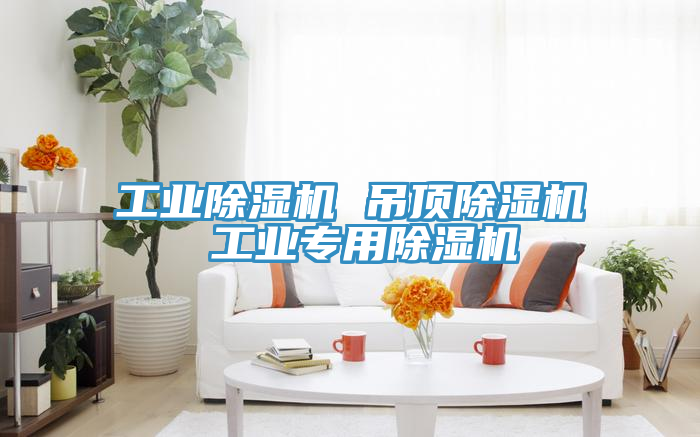 工業(yè)除濕機 吊頂除濕機 工業(yè)專用除濕機