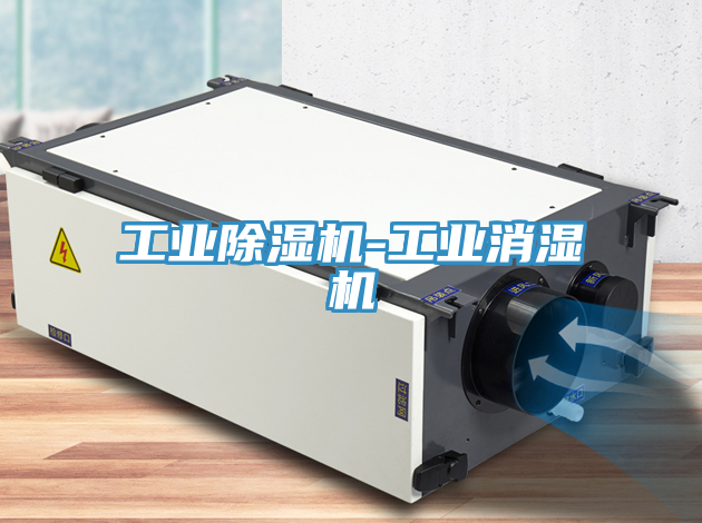 工業(yè)除濕機-工業(yè)消濕機