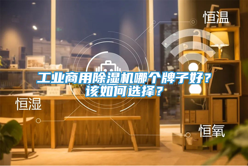 工業(yè)商用除濕機(jī)哪個(gè)牌子好？該如何選擇？