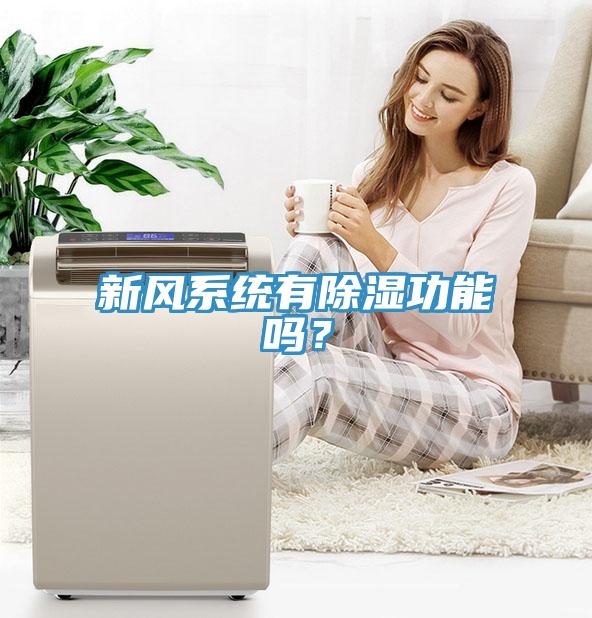 新風系統(tǒng)有除濕功能嗎？