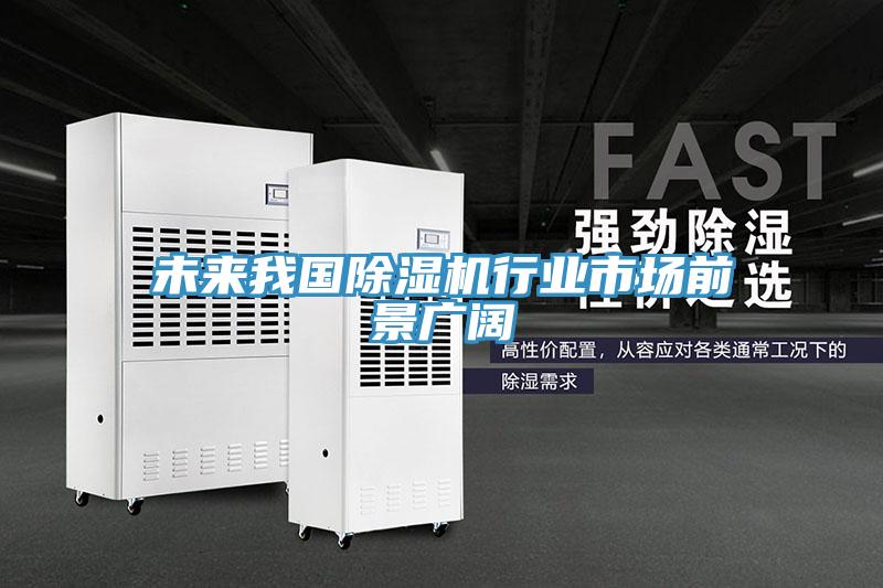 未來(lái)我國(guó)除濕機(jī)行業(yè)市場(chǎng)前景廣闊