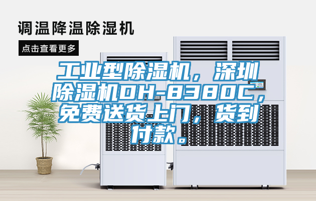 工業(yè)型除濕機(jī)，深圳除濕機(jī)DH-8380C，免費(fèi)送貨上門，貨到付款。