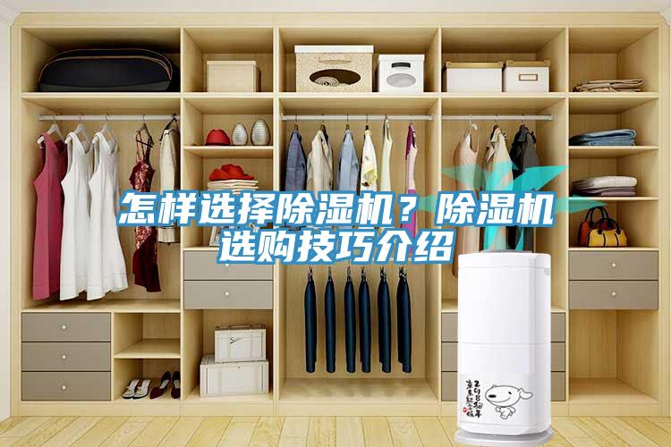 怎樣選擇除濕機(jī)？除濕機(jī)選購技巧介紹