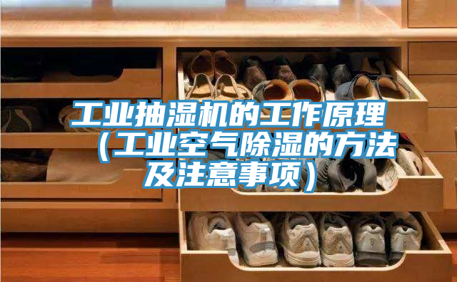 工業(yè)抽濕機(jī)的工作原理（工業(yè)空氣除濕的方法及注意事項）