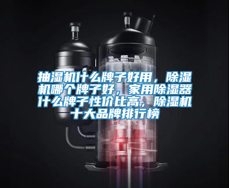 抽濕機(jī)什么牌子好用，除濕機(jī)哪個牌子好，家用除濕器什么牌子性價比高，除濕機(jī)十大品牌排行榜