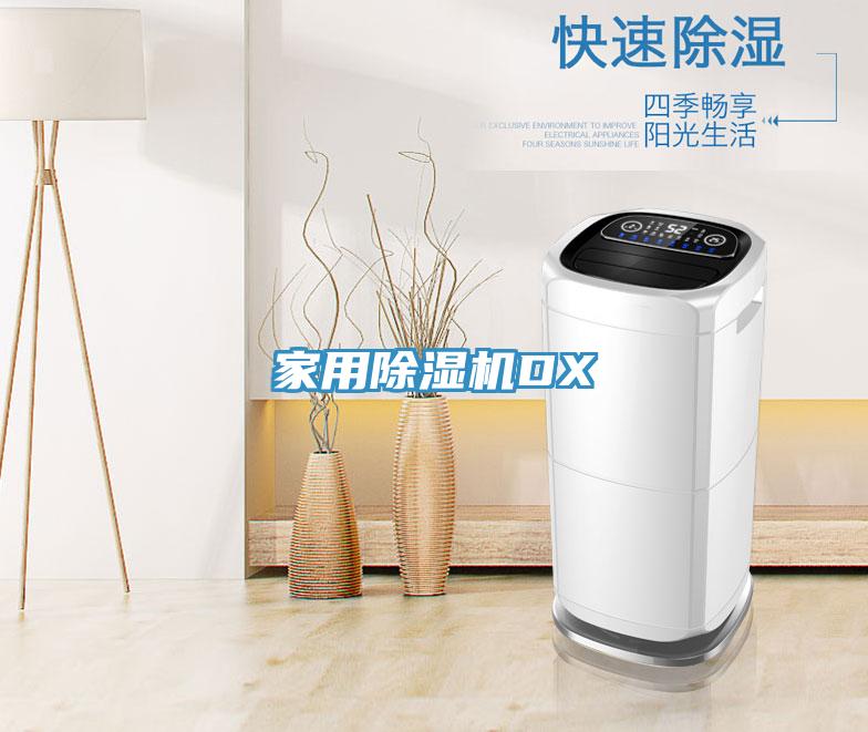 家用除濕機DX
