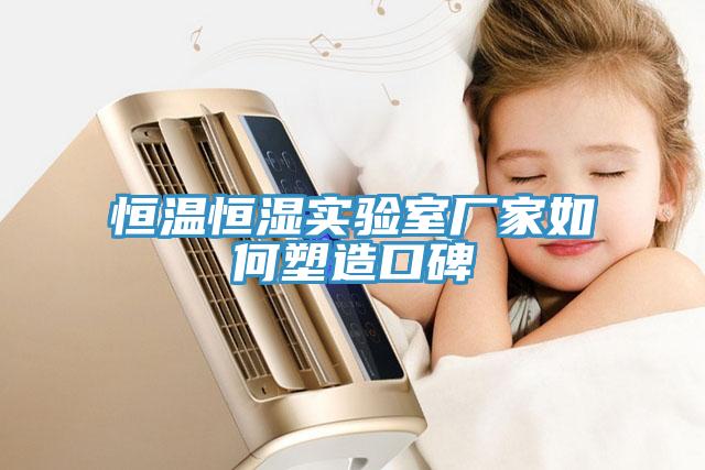 恒溫恒濕實(shí)驗(yàn)室廠家如何塑造口碑