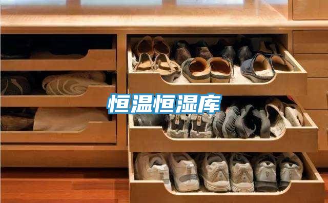 恒溫恒濕庫