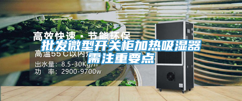 批發(fā)微型開關柜加熱吸濕器需注重要點