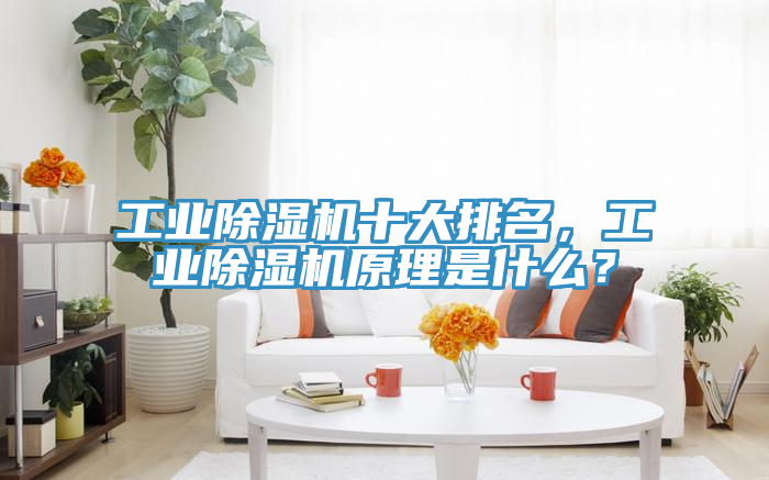 工業(yè)除濕機(jī)十大排名，工業(yè)除濕機(jī)原理是什么？