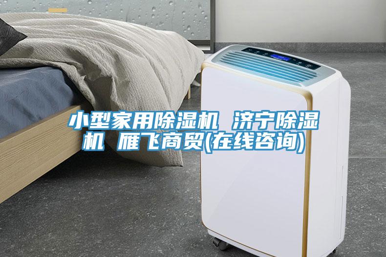 小型家用除濕機(jī) 濟(jì)寧除濕機(jī) 雁飛商貿(mào)(在線咨詢)