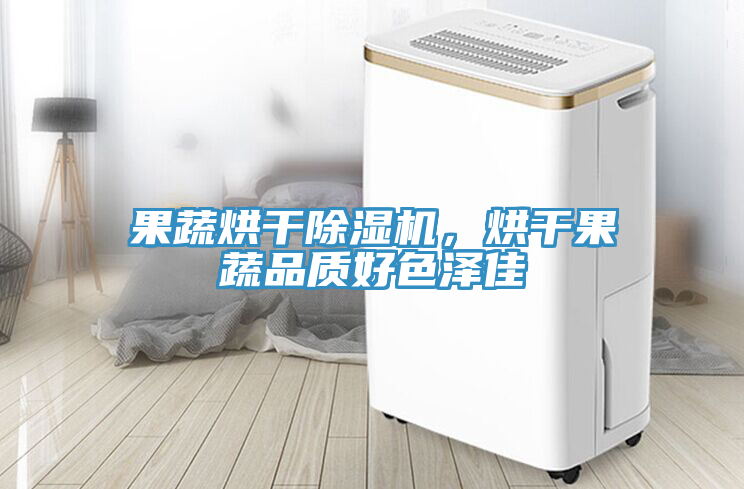 果蔬烘干除濕機，烘干果蔬品質(zhì)好色澤佳