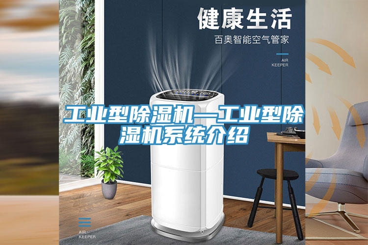 工業(yè)型除濕機(jī)—工業(yè)型除濕機(jī)系統(tǒng)介紹