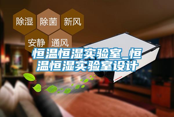 恒溫恒濕實驗室_恒溫恒濕實驗室設(shè)計
