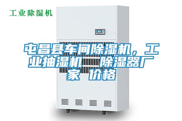 屯昌縣車間除濕機，工業(yè)抽濕機  除濕器廠家 價格