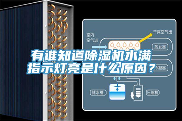有誰(shuí)知道除濕機(jī)水滿指示燈亮是什么原因？