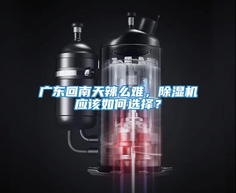 廣東回南天辣么難，除濕機應(yīng)該如何選擇？