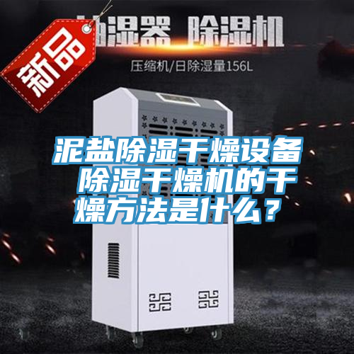 泥鹽除濕干燥設(shè)備 除濕干燥機的干燥方法是什么？
