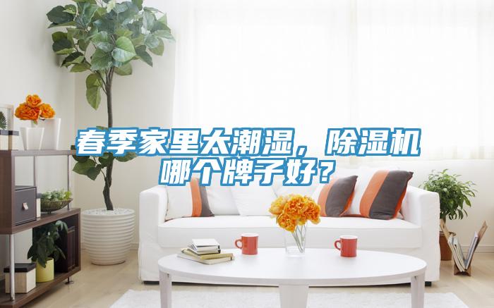 春季家里太潮濕，除濕機哪個牌子好？