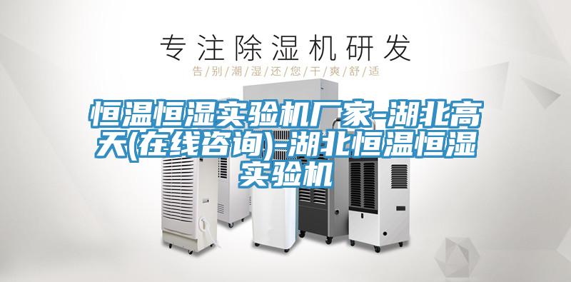 恒溫恒濕實驗機廠家-湖北高天(在線咨詢)-湖北恒溫恒濕實驗機