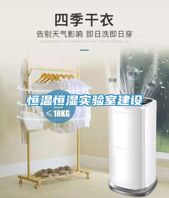 恒溫恒濕實(shí)驗(yàn)室建設(shè)