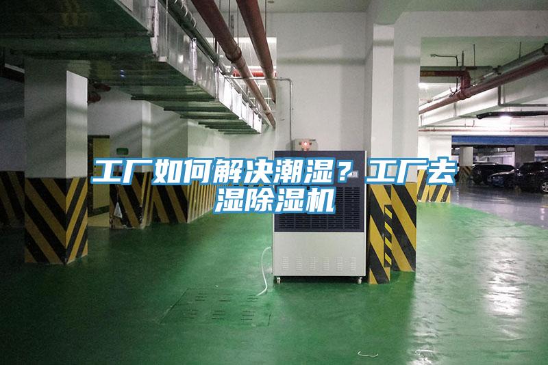 工廠如何解決潮濕？工廠去濕除濕機