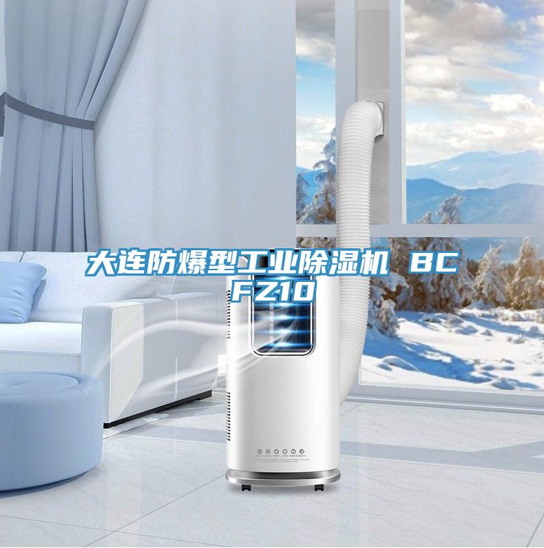 大連防爆型工業(yè)除濕機(jī) BCFZ10