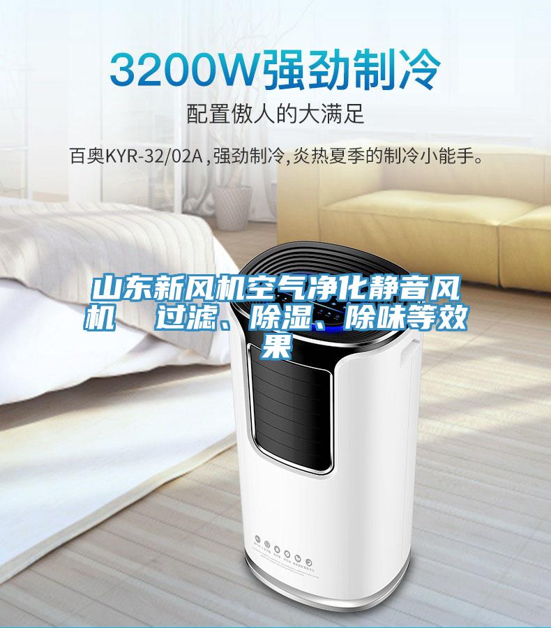 山東新風(fēng)機(jī)空氣凈化靜音風(fēng)機(jī)  過(guò)濾、除濕、除味等效果