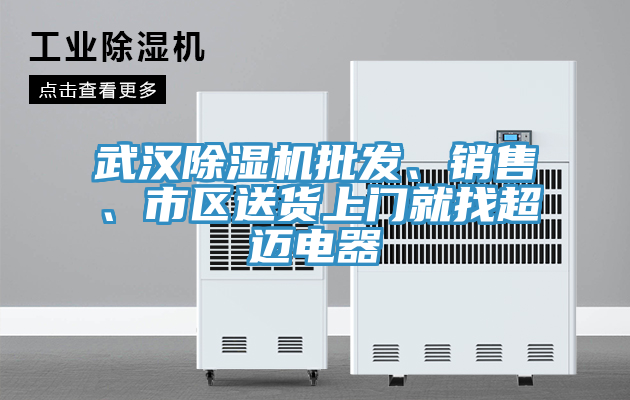 武漢除濕機(jī)批發(fā)、銷售、市區(qū)送貨上門就找超邁電器