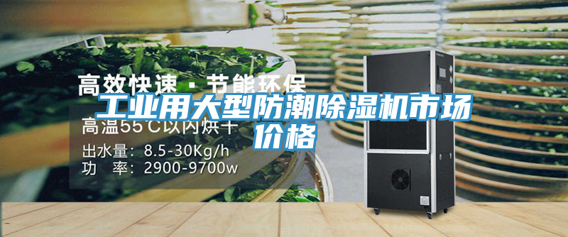 工業(yè)用大型防潮除濕機市場價格