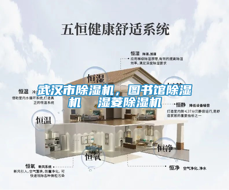 武漢市除濕機，圖書館除濕機  濕菱除濕機