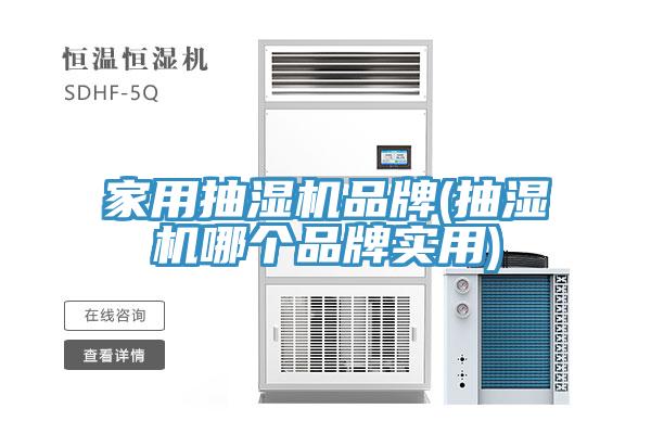 家用抽濕機(jī)品牌(抽濕機(jī)哪個(gè)品牌實(shí)用)