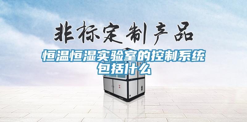 恒溫恒濕實(shí)驗(yàn)室的控制系統(tǒng)包括什么