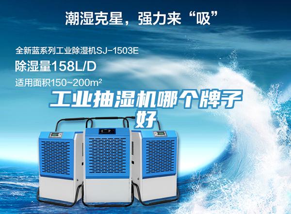 工業(yè)抽濕機哪個牌子好