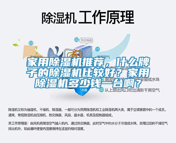 家用除濕機(jī)推薦，什么牌子的除濕機(jī)比較好？家用除濕機(jī)多少錢一臺??？