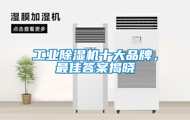 工業(yè)除濕機十大品牌，最佳答案揭曉