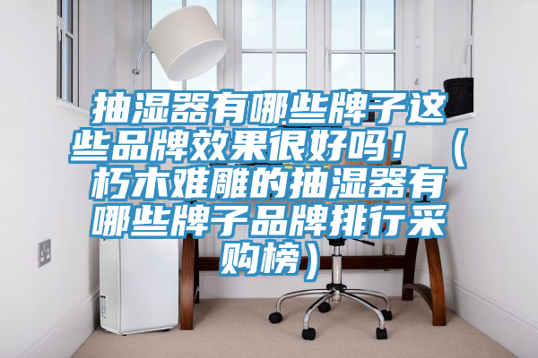抽濕器有哪些牌子這些品牌效果很好嗎！（朽木難雕的抽濕器有哪些牌子品牌排行采購榜）