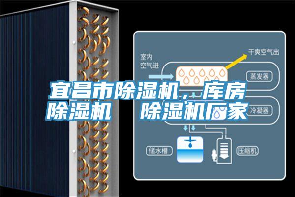 宜昌市除濕機，庫房除濕機  除濕機廠家