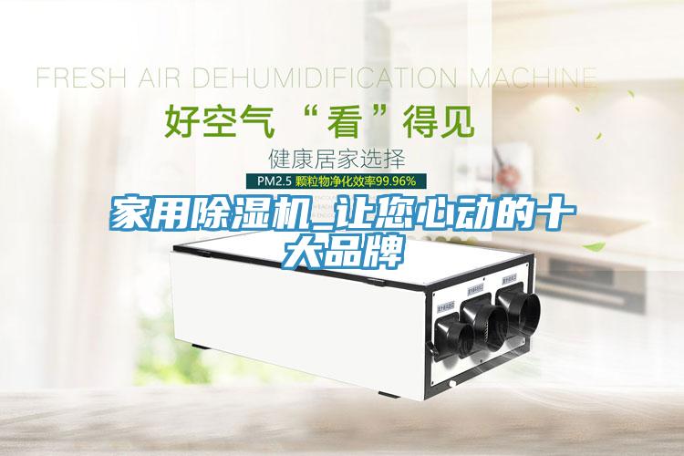 家用除濕機(jī)_讓您心動的十大品牌