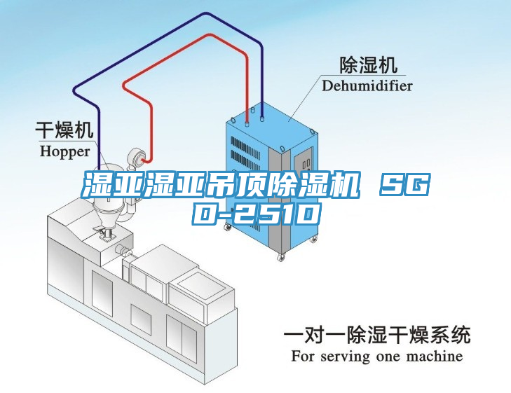 濕亞濕亞吊頂除濕機(jī) SGD-251D