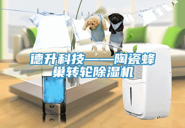 德升科技——陶瓷蜂巢轉(zhuǎn)輪除濕機