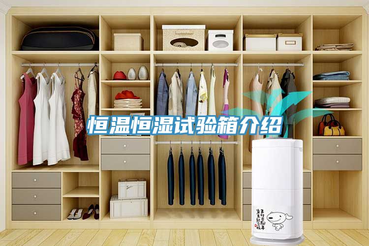 恒溫恒濕試驗(yàn)箱介紹