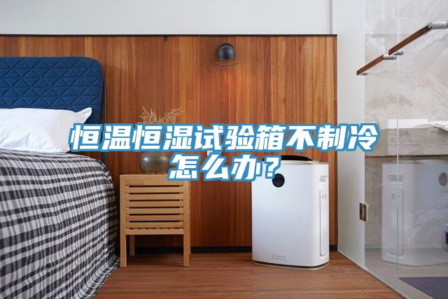 恒溫恒濕試驗箱不制冷怎么辦？