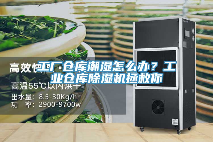 工廠倉庫潮濕怎么辦？工業(yè)倉庫除濕機(jī)拯救你