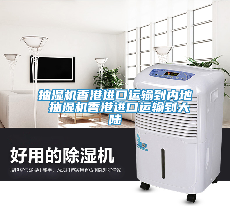 抽濕機(jī)香港進(jìn)口運(yùn)輸?shù)絻?nèi)地 抽濕機(jī)香港進(jìn)口運(yùn)輸?shù)酱箨?></div>
								<div   id=