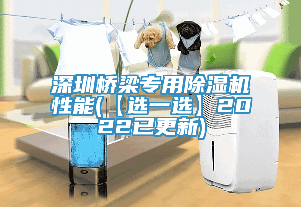 深圳橋梁專用除濕機(jī)性能(【選一選】2022已更新)