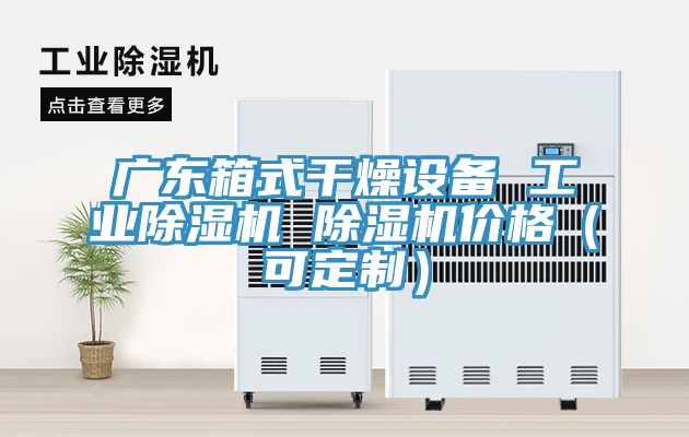 廣東箱式干燥設(shè)備 工業(yè)除濕機 除濕機價格（可定制）