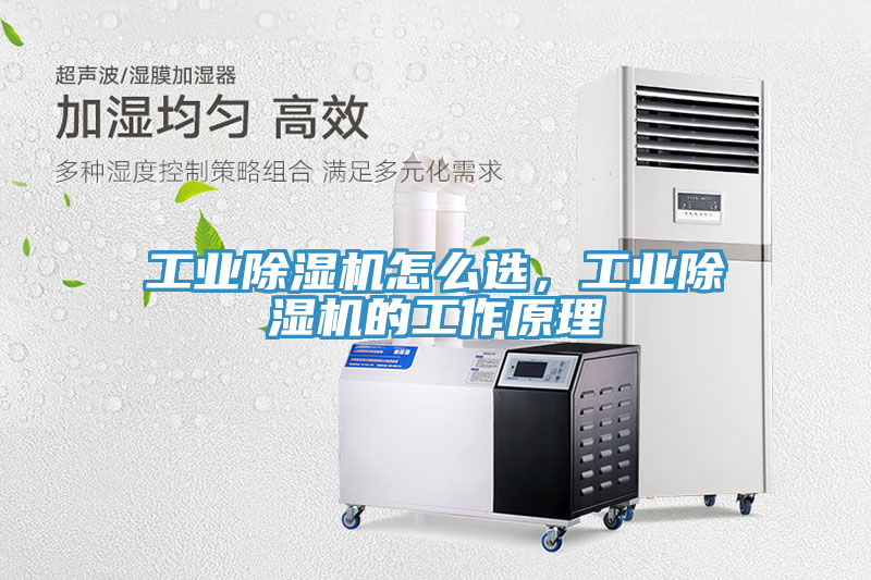 工業(yè)除濕機(jī)怎么選，工業(yè)除濕機(jī)的工作原理